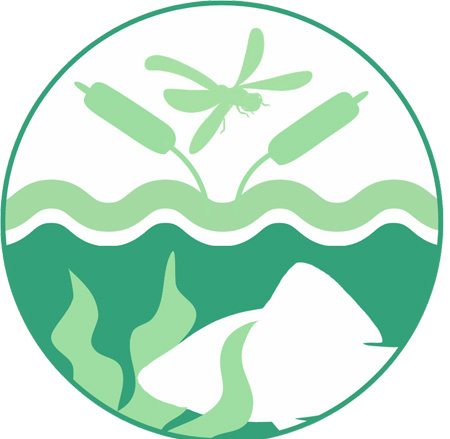 Logo Bingo Umweltstiftung