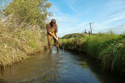 MASTERARBEIT ÜBER LAICHHABITATE VON MEERFORELLEN