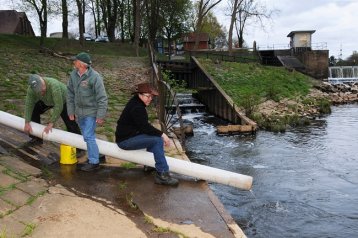 LACHSBESATZ AN DER EMS 2017