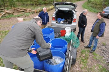 LACHSBESATZ AN DER EMS 2017