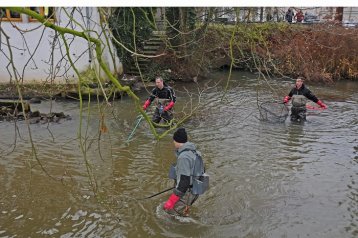 WANDERSALMONIDEN-MONITORING