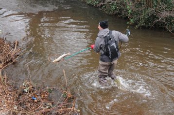 WANDERSALMONIDEN-MONITORING